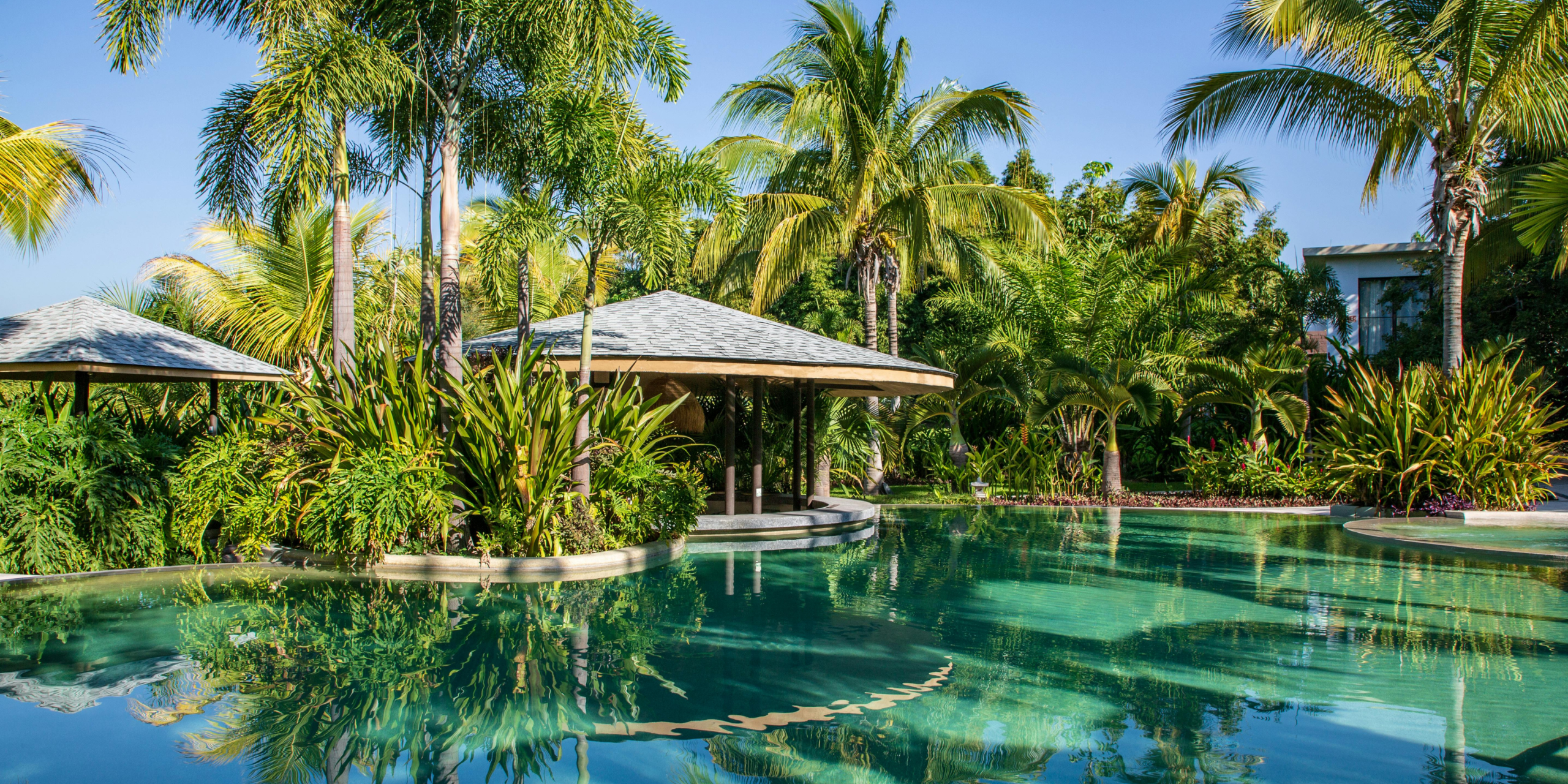 Tropical style resort pool surrounded by palm trees, lush greenery, and shaded cabanas under a clear blue sky.